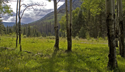 In the Aspens 3708
